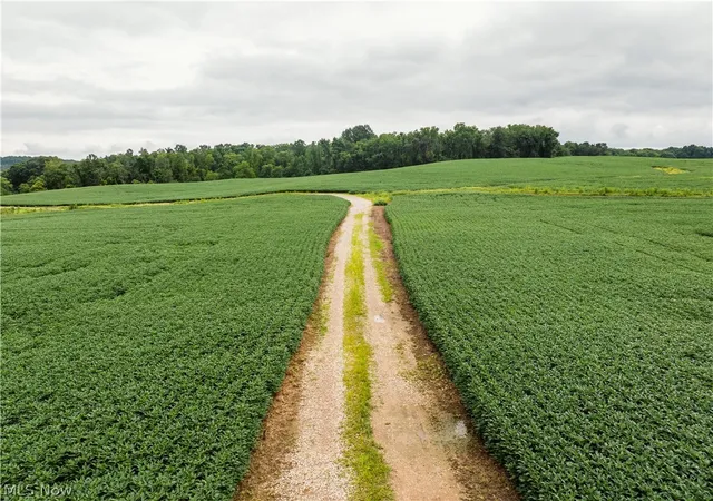 Photo 1 of Land for sale at 2428 Applegate Rd, Lucas, OH 44843 | MLS# 5239914 | Listing updated on 2026-08-26