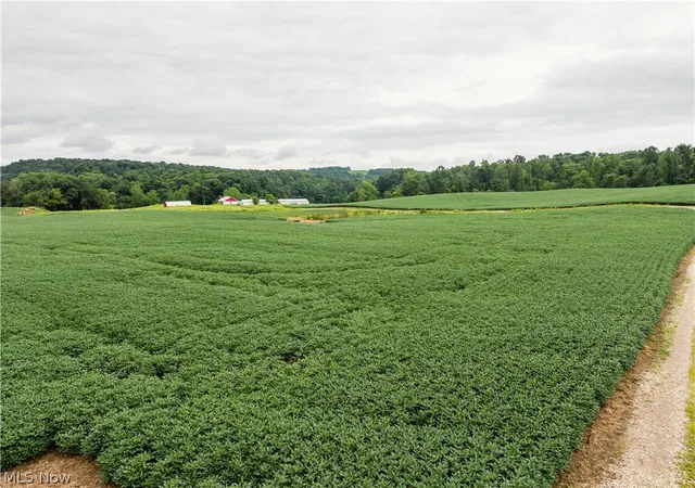 Photo 3 of Sale Pending at 2428 Applegate Rd, Lucas, OH 44843 | MLS# 5239914 | Listing updated on 2026-09-27