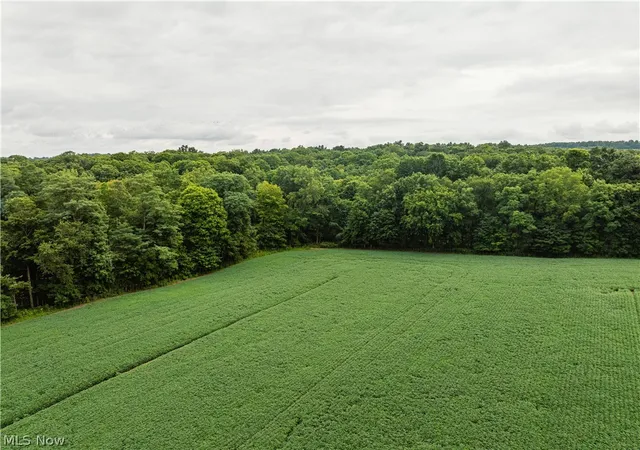 Photo 4 of Sale Pending at 2428 Applegate Rd, Lucas, OH 44843 | MLS# 5239914 | Listing updated on 2026-09-27