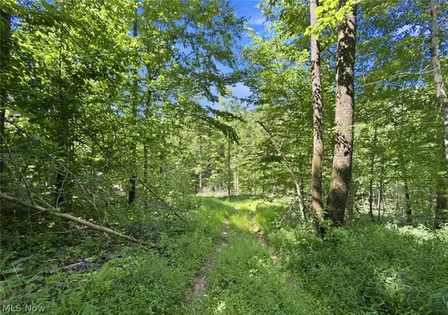 Photo 50 of Land for sale at 45447 Bondi Ridge Rd, Woodsfield, OH 43793 | MLS# 5239932 | Listing updated on 2026-08-27