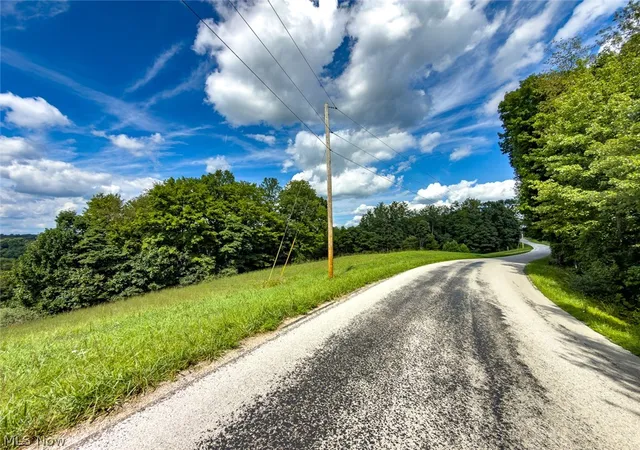 Photo 3 of Land for sale at 43532 Township Road 55, Coshocton, OH 43812 | MLS# 5239993 | Listing updated on 2026-10-07