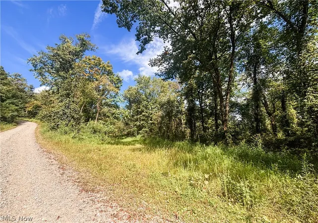 Photo 1 of Land for sale at 62515 Wine Rd, Quaker City, OH 43773 | MLS# 5239970 | Listing updated on 2026-08-27