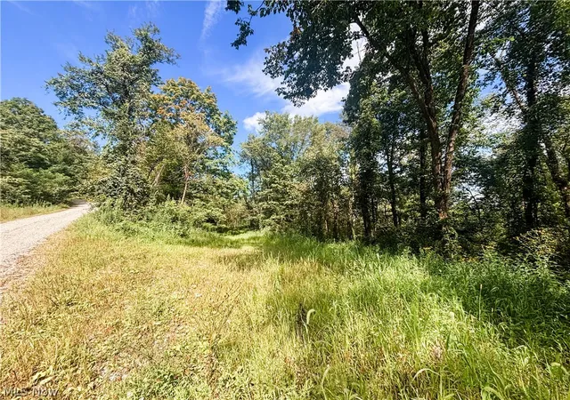 Photo 3 of Land for sale at 62515 Wine Rd, Quaker City, OH 43773 | MLS# 5239970 | Listing updated on 2026-08-27