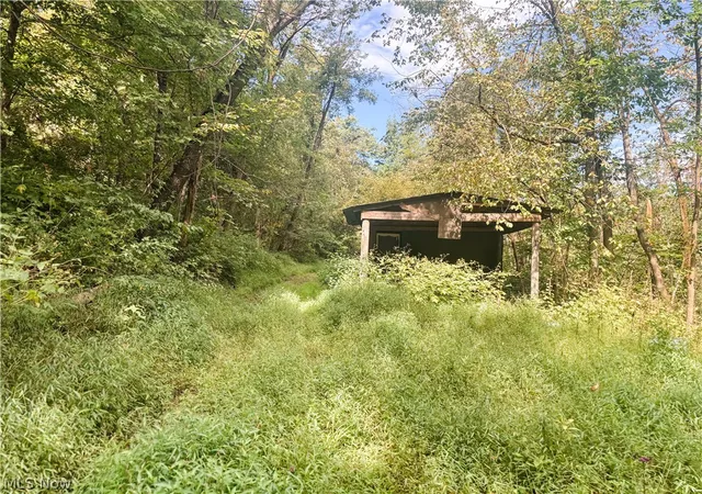 Photo 3 of Land for sale at 62515 Wine Rd, Quaker City, OH 43773 | MLS# 5239970 | Listing updated on 2026-08-27