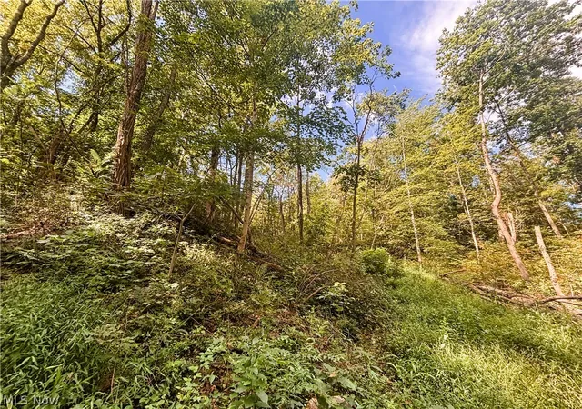 Photo 4 of Land for sale at 62515 Wine Rd, Quaker City, OH 43773 | MLS# 5239970 | Listing updated on 2026-08-27