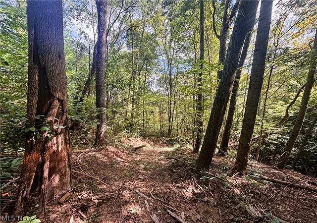 Photo 9 of Land for sale at 62515 Wine Rd, Quaker City, OH 43773 | MLS# 5239970 | Listing updated on 2026-08-27