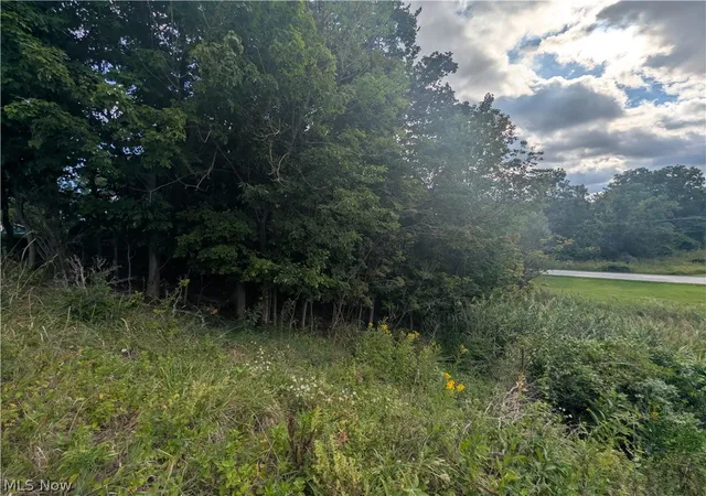 Photo 3 of Land for sale at V/L Erie Rd, Eastlake, OH 44095 | MLS# 5239566 | Listing updated on 2026-08-27