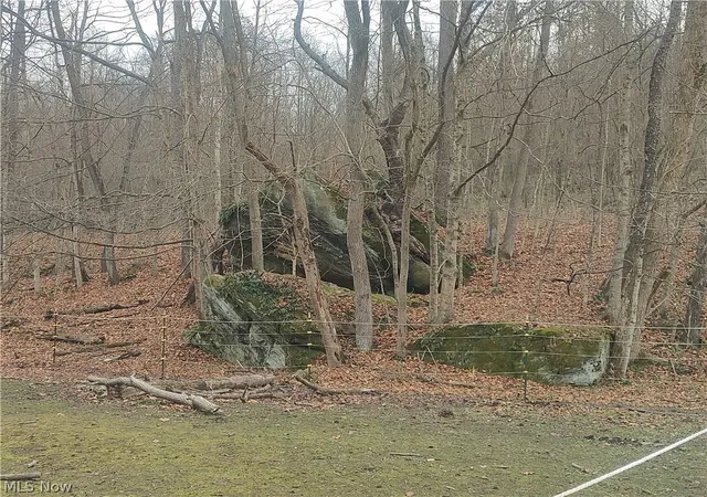 Photo 2 of Land for sale at Cr 58, Coshocton, OH 43812 | MLS# 5240313 | Listing updated on 2026-09-29