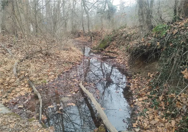 Photo 3 of Land for sale at Cr 58, Coshocton, OH 43812 | MLS# 5240313 | Listing updated on 2026-09-29
