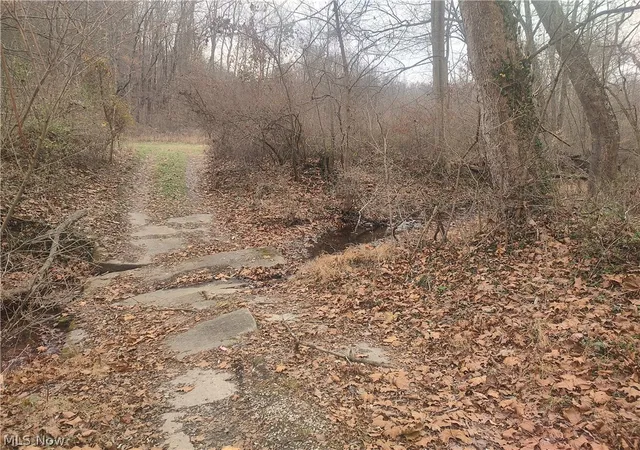 Photo 4 of Land for sale at Cr 58, Coshocton, OH 43812 | MLS# 5240313 | Listing updated on 2026-09-29