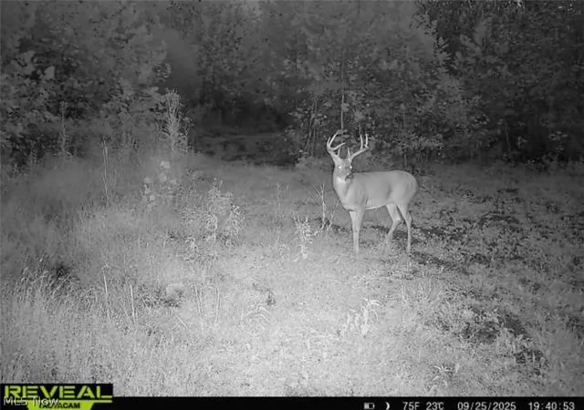 Photo 4 of Land for sale at County Road 181, Ironton, OH 45638 | MLS# 5240201 | Listing updated on 2026-08-28