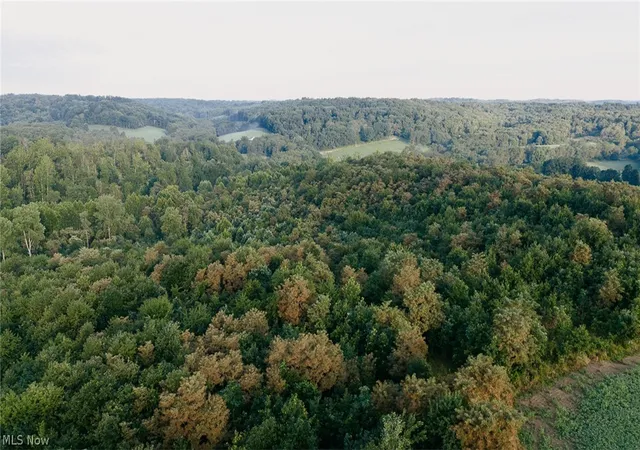 Photo 3 of Land for sale at Nickel Rd, Salineville, OH 43945 | MLS# 5240653 | Listing updated on 2026-08-28