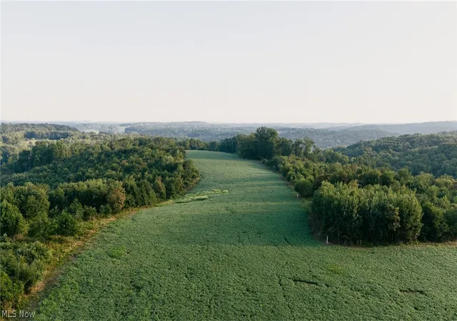 Photo 3 of Land for sale at Nickel Rd, Salineville, OH 43945 | MLS# 5240653 | Listing updated on 2026-08-28