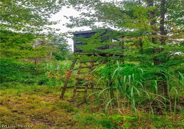 Photo 4 of Land for sale at River Rd, Warren, OH 44483 | MLS# 5240319 | Listing updated on 2026-08-28