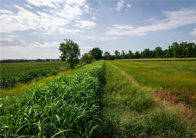 Photo 1 of Land for sale at 3835 County Road 147, Woodville, OH 43416 | MLS# 5239715 | Listing updated on 2026-08-31