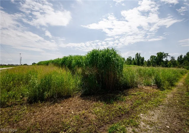 Photo 3 of Land for sale at 3835 County Road 147, Woodville, OH 43416 | MLS# 5239715 | Listing updated on 2026-08-31