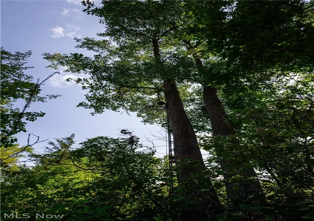 Photo 4 of Land for sale at 3835 County Road 147, Woodville, OH 43416 | MLS# 5239715 | Listing updated on 2026-08-31