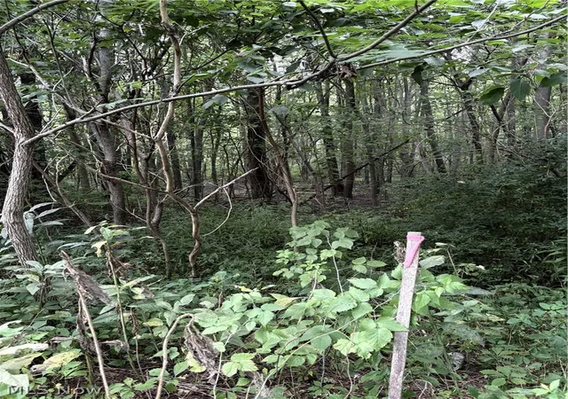 Photo 1 of Land for sale at Center Rd, Garrettsville, OH 44231 | MLS# 5237659 | Listing updated on 2026-08-31