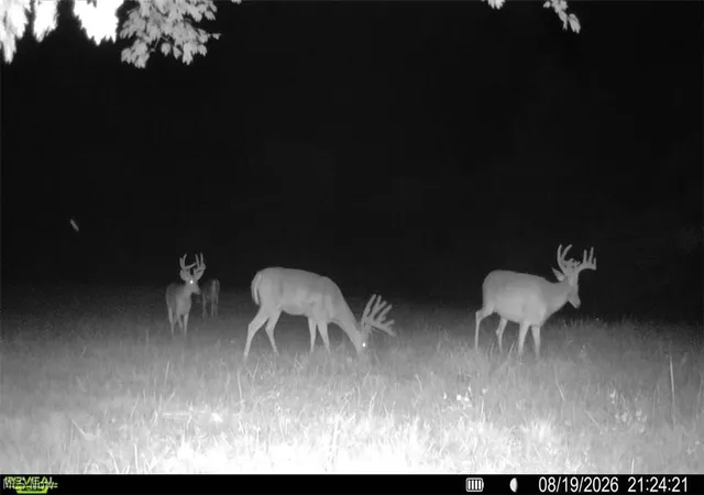 Photo 23 of Land for sale at Brimstone Rd, Coolville, OH 45723 | MLS# 5241145 | Listing updated on 2026-09-01