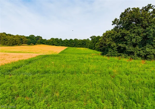 Photo 3 of Land for sale at Stone Ave, Navarre, OH 44662 | MLS# 5241177 | Listing updated on 2026-08-31