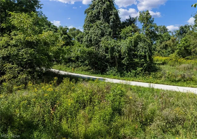 Photo 3 of Land for sale at 55541 Barnes Rd, Martins Ferry, OH 43935 | MLS# 5240111 | Listing updated on 2026-09-01