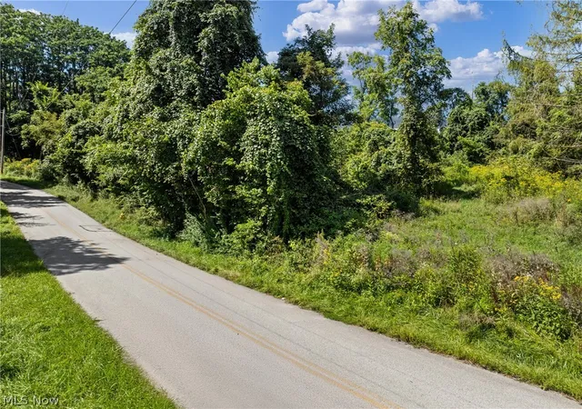 Photo 3 of Land for sale at 55541 Barnes Rd, Martins Ferry, OH 43935 | MLS# 5240111 | Listing updated on 2026-09-01