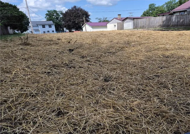 Photo 3 of Land for sale at 309 South 10th, Coshocton, OH 43812 | MLS# 5241413 | Listing updated on 2026-09-01