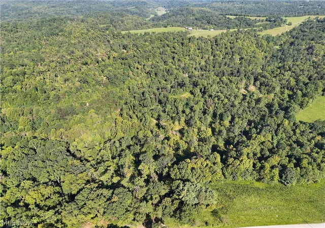 Photo 3 of Land for sale at Crum Ridge Rd, Caldwell, OH 43724 | MLS# 5241479 | Listing updated on 2026-10-08