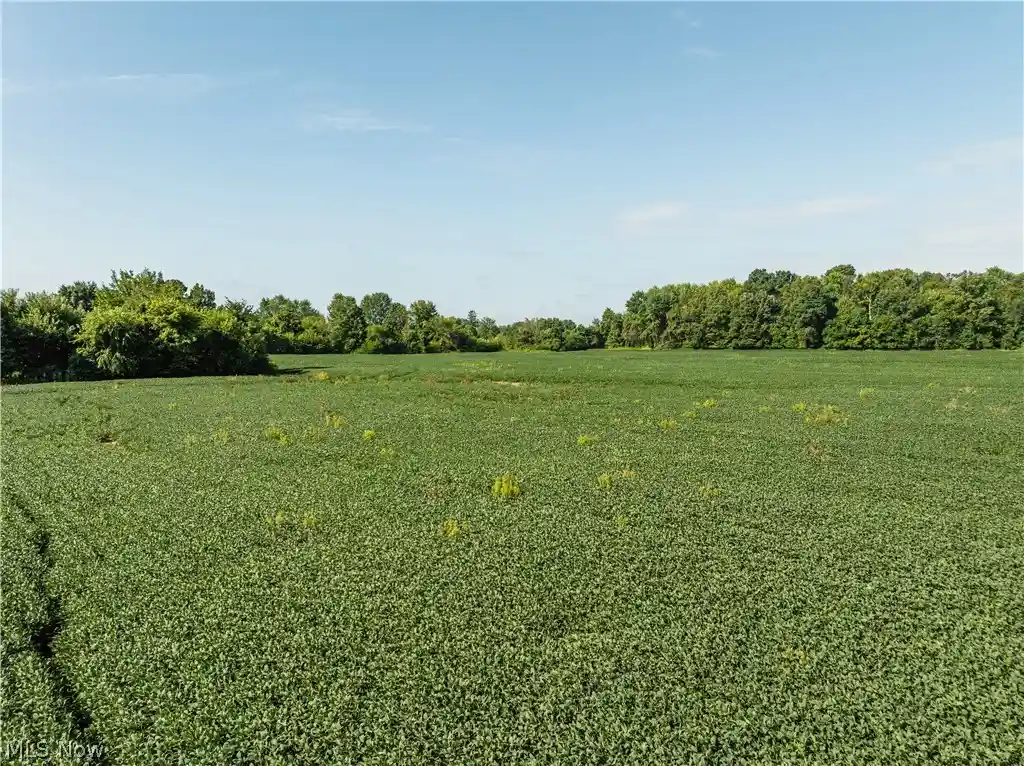 Photo 1 of Sale Pending at Sycamore Rd, Centerburg, OH 43011 | MLS# 5241566 | Listing updated on 2026-10-12