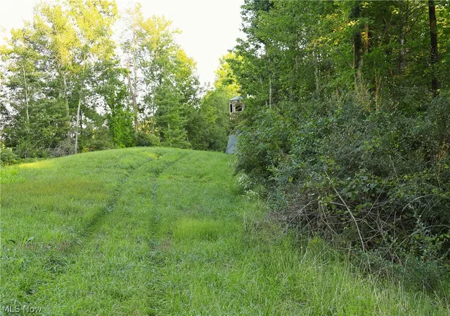 Land for sale at Yoker Valley Rd, Quaker City, OH 43773 | MLS# 5245410