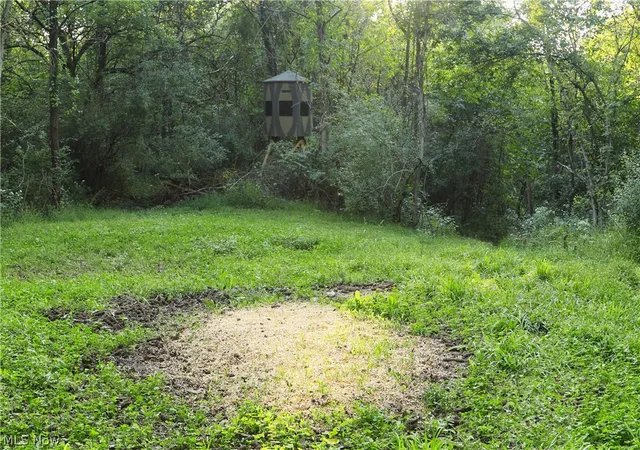 Photo 3 of Land for sale at Groves Hl Rd, Caldwell, OH 43724 | MLS# 5245514 | Listing updated on 2026-09-23