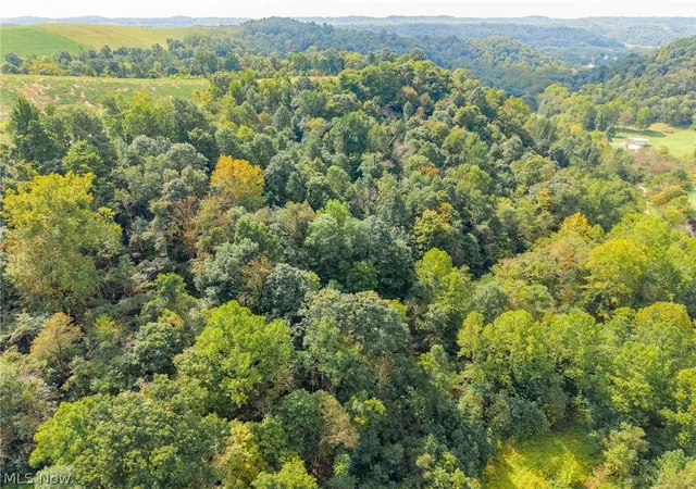 Photo 4 of Land for sale at 37500 Goose Run Rd #3, Dexter City, OH 45727 | MLS# 5244791 | Listing updated on 2026-09-21