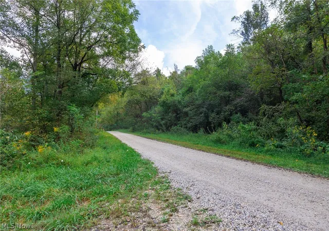Photo 2 of Land for sale at 37500 Goose Run Rd, Dexter City, OH 45727 | MLS# 5244688 | Listing updated on 2026-09-21