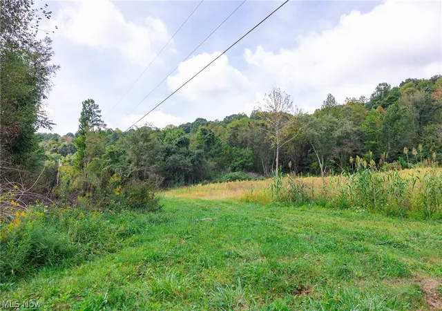 Photo 3 of Land for sale at 37500 Goose Run Rd, Dexter City, OH 45727 | MLS# 5244688 | Listing updated on 2026-09-21