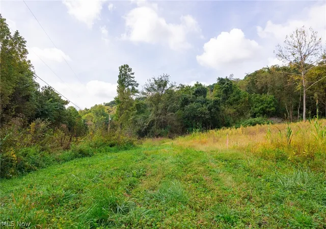 Photo 3 of Land for sale at 37500 Goose Run Rd, Dexter City, OH 45727 | MLS# 5244688 | Listing updated on 2026-09-21