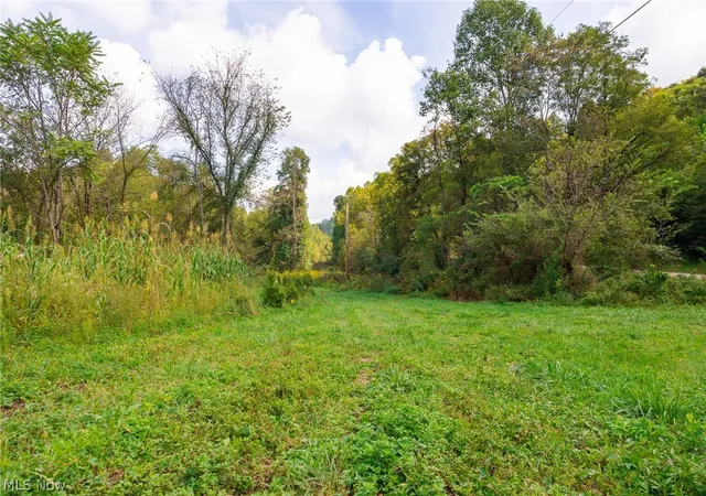Photo 4 of Land for sale at 37500 Goose Run Rd, Dexter City, OH 45727 | MLS# 5244688 | Listing updated on 2026-09-21