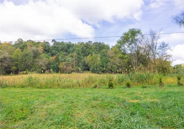 Photo 3 of Land for sale at 37500 Goose Run Rd #1, Dexter City, OH 45727 | MLS# 5244698 | Listing updated on 2026-09-21
