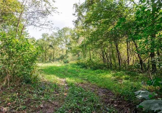 Photo 3 of Land for sale at 37500 Goose Run Rd #2, Dexter City, OH 45727 | MLS# 5244708 | Listing updated on 2026-09-21