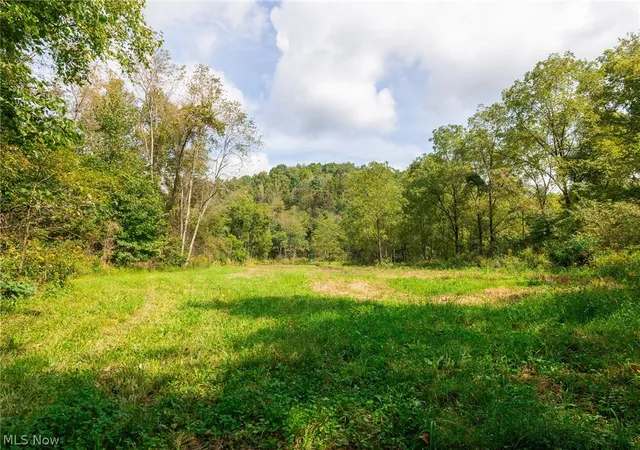 Photo 3 of Land for sale at 37500 Goose Run Rd #2, Dexter City, OH 45727 | MLS# 5244708 | Listing updated on 2026-09-21