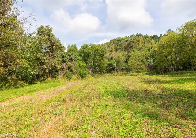 Photo 4 of Land for sale at 37500 Goose Run Rd #2, Dexter City, OH 45727 | MLS# 5244708 | Listing updated on 2026-09-21