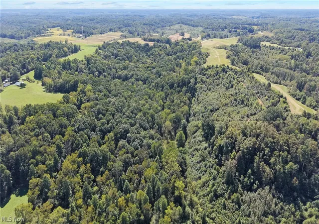 Photo 4 of Land for sale at 0 Ohio 689, Albany, OH 45710 | MLS# 5246726 | Listing updated on 2026-10-02