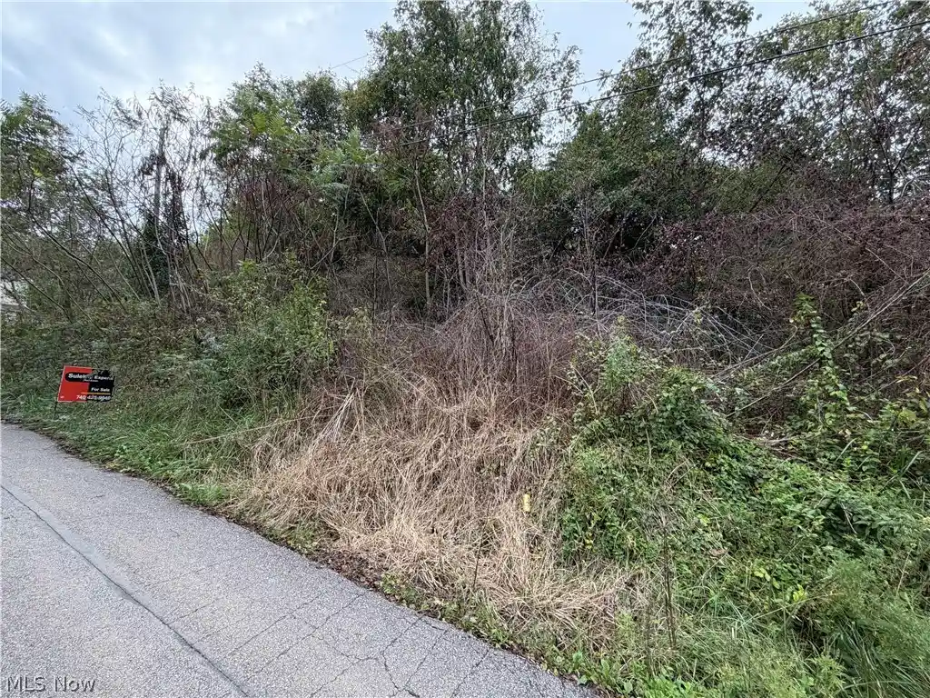 Photo 1 of Land for sale at 0 Maple St, Bellaire, OH 43906 | MLS# 5247629 | Listing updated on 2026-10-28