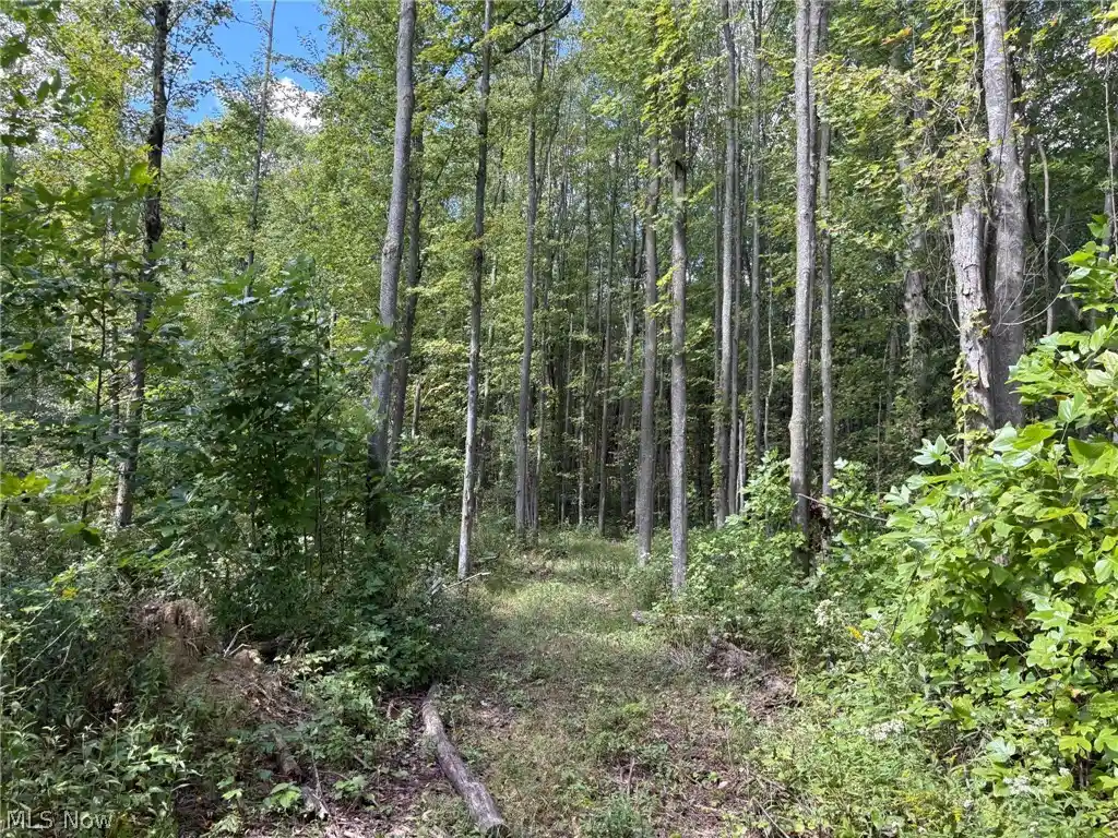 Photo 1 of Sale Pending at Center Rd, Conneaut, OH 44030 | MLS# 5247832 | Listing updated on 2026-10-16