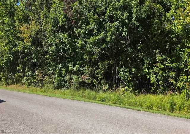 Photo 1 of Land for sale at 2054 & 2055 N Plz Dr, Roaming Shores, OH 44084 | MLS# 5247503 | Listing updated on 2026-09-25
