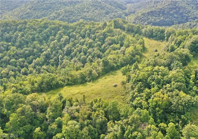 Photo 1 of Land for sale at 0002 Nicut Run Rd, Duck, WV 26623 | MLS# 5240962 | Listing updated on 2026-09-25