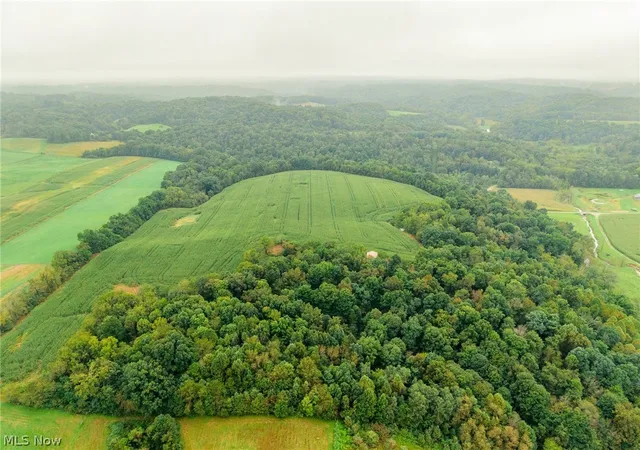 Photo 1 of Land for sale at White Eyes Rd, New Concord, OH 43762 | MLS# 5247447 | Listing updated on 2026-09-26