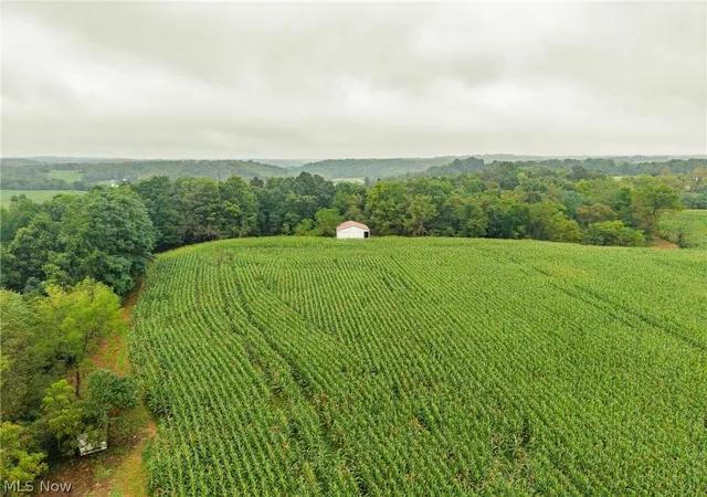 Photo 2 of Land for sale at White Eyes Rd, New Concord, OH 43762 | MLS# 5247447 | Listing updated on 2026-09-26