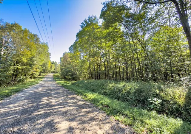 Photo 2 of Land for sale at Parcel 1 Shinn Rd, Stockport, OH 43787 | MLS# 5248420 | Listing updated on 2026-09-27