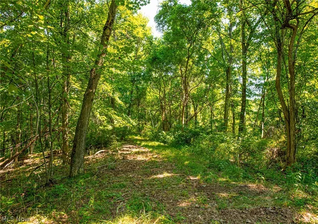 Photo 2 of Land for sale at 27339 Tabor Ridge Rd #1, Caldwell, OH 43724 | MLS# 5245499 | Listing updated on 2026-09-28