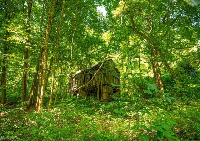 Photo 3 of Land for sale at 27339 Tabor Ridge Rd #1, Caldwell, OH 43724 | MLS# 5245499 | Listing updated on 2026-09-28